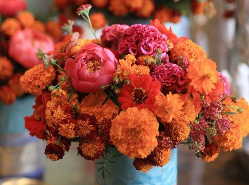 Matrimoni indiani | Event & Flower Design Daniela Mengarelli
