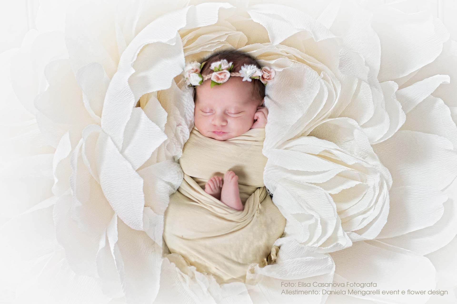 Daniela Mengarelli Event And Flower Design | Newborn Photography